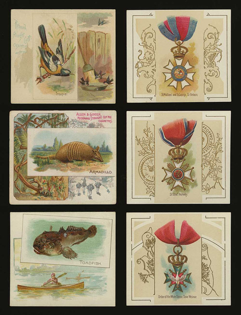 allen & ginter tobacco cards 1887-1890 Allen & Ginter Large-Size Nonsport Tobacco-Card Collection  (103 cards)
