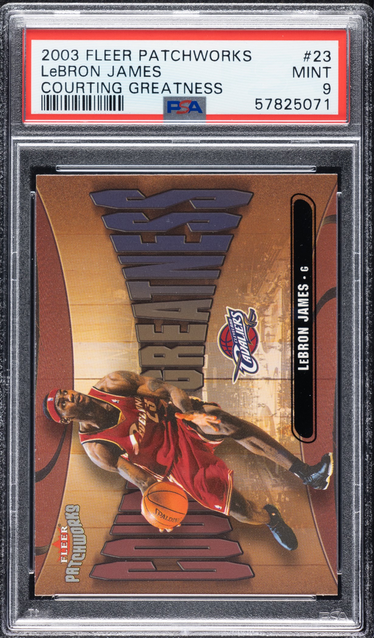 2003-2004 Fleer Patchworks Basketball Courting Greatness #23 
