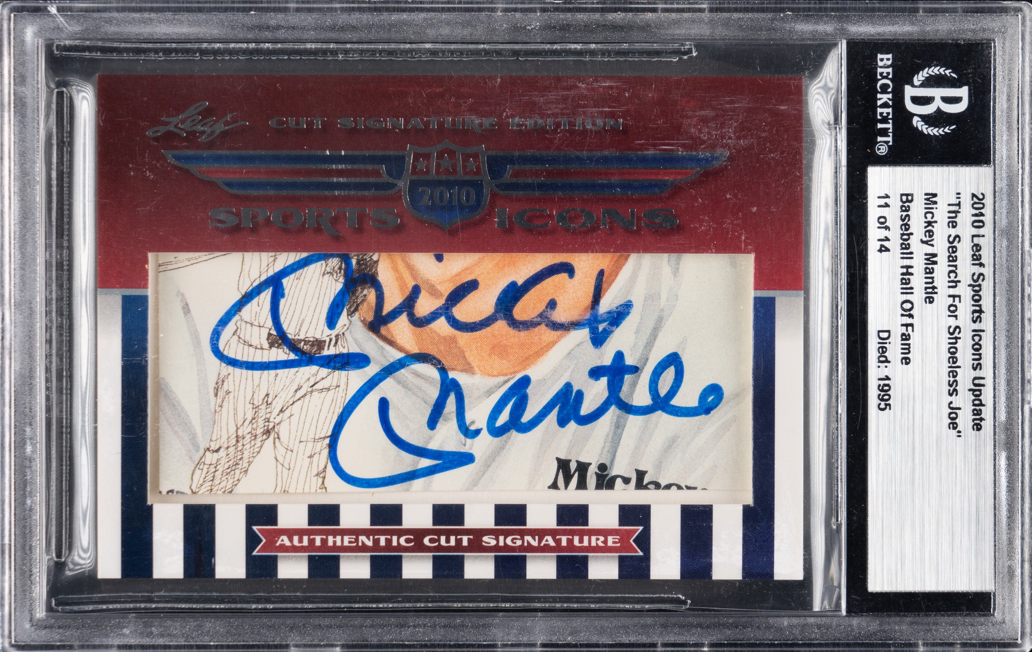 2010 Leaf Sports Icons Update 