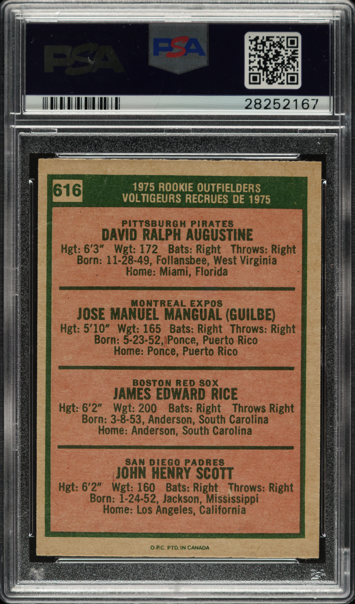 1975 O-Pee-Chee #616 Jim Rice Rookie PSA NM 7 | REA Archive